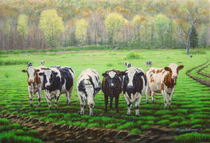 Farms/Curious-Cows-.jpg