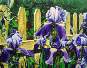 Florals/Iris-by-the-fence.jpg