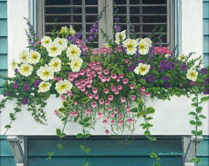 Florals/NantucketBloom.jpg