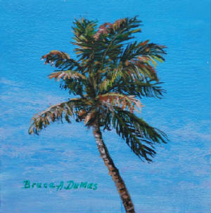 Seascapes/Palm.jpg