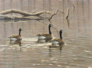 Wildlife/Early-Spring-Geese-Trio.jpg
